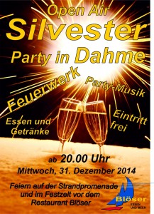 Silvester_2014_1 (2)